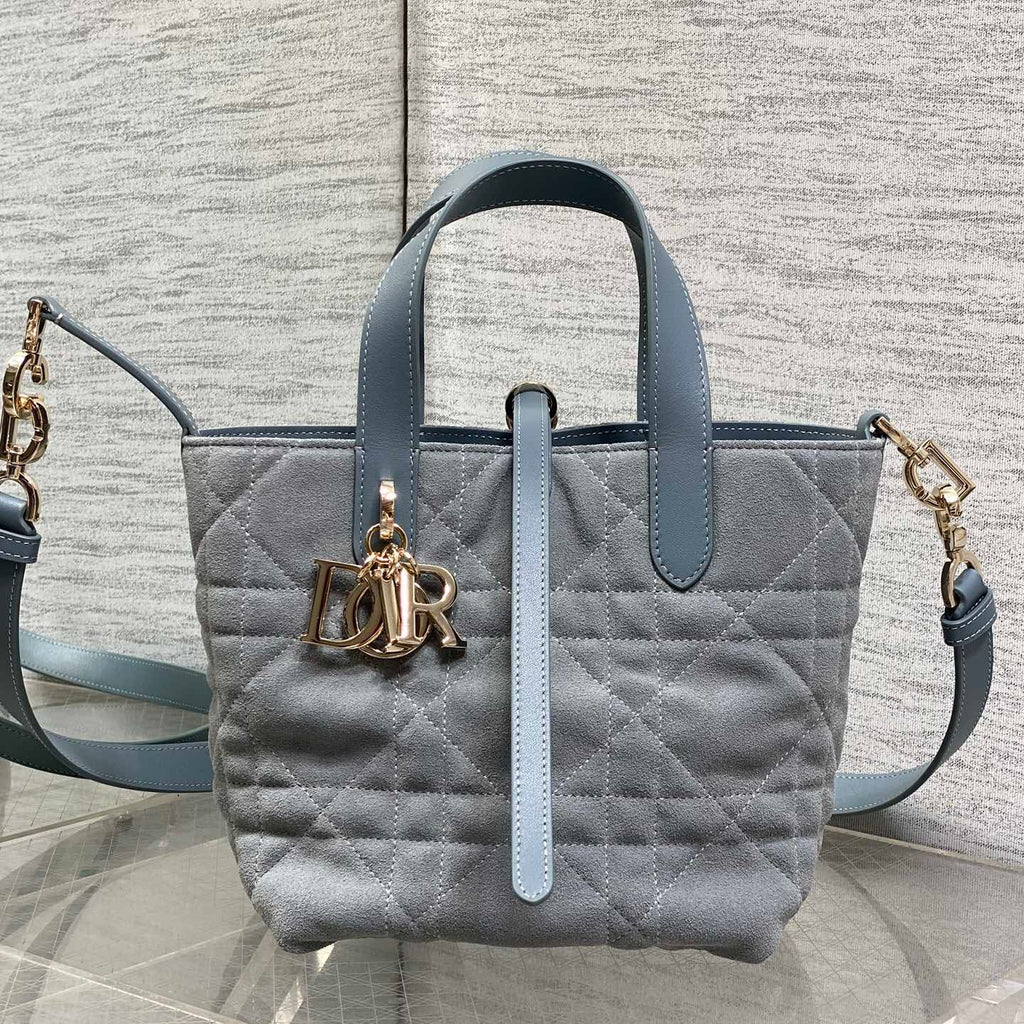 C*D Toujours Vertical Bag Suede