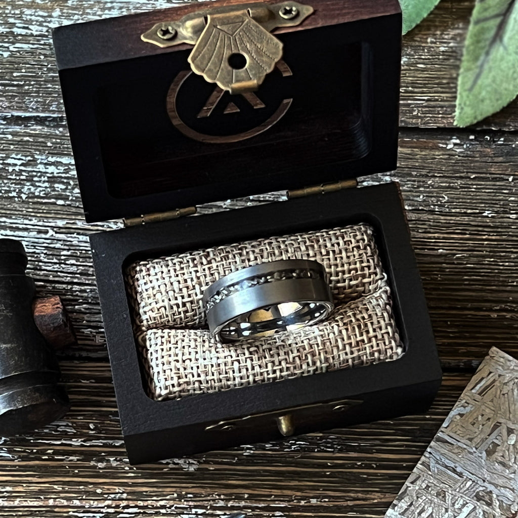 Couples Set: The Viking︱Gibeon Meteorite