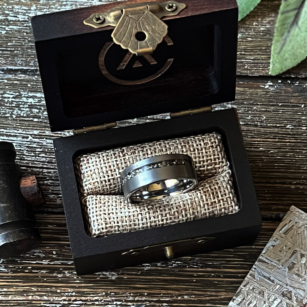 Couples Set: The Viking︱Gibeon Meteorite