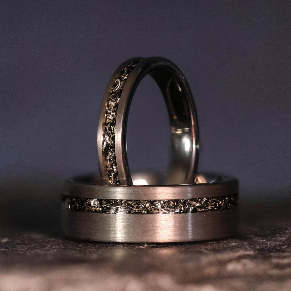 Couples Set: The Viking︱Gibeon Meteorite